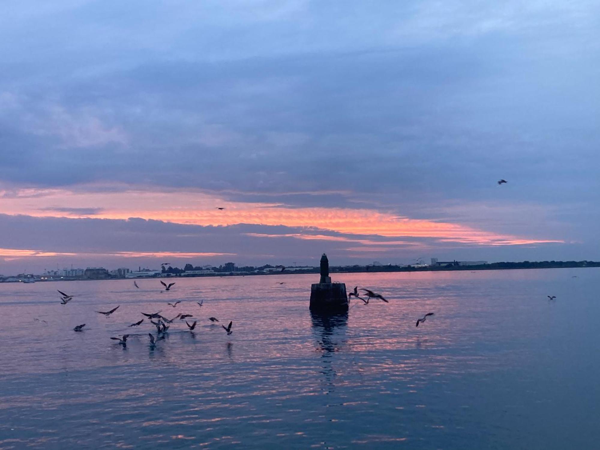 Apartamento Atardeceres 阿亚蒙特 外观 照片